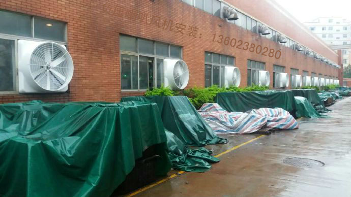 塑胶车间免费黄色黄瓜视频通风降温设备