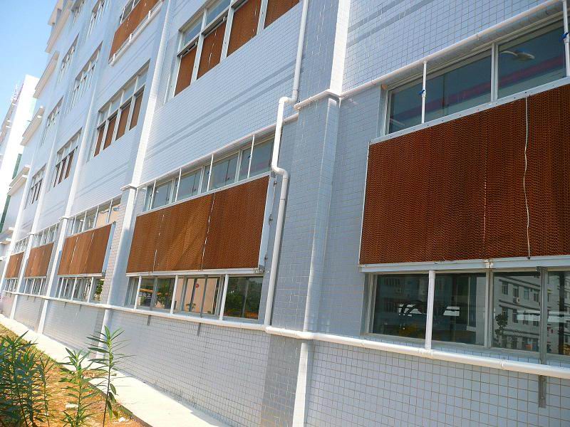 一体式免费黄色黄瓜视频应用