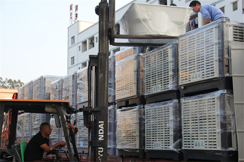 江津大型黄瓜视频在线观看1080PFT-230/ 江津大型黄瓜视频在线观看1080PFT-230